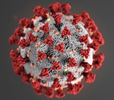 Coronavirus Update 3/12/2020